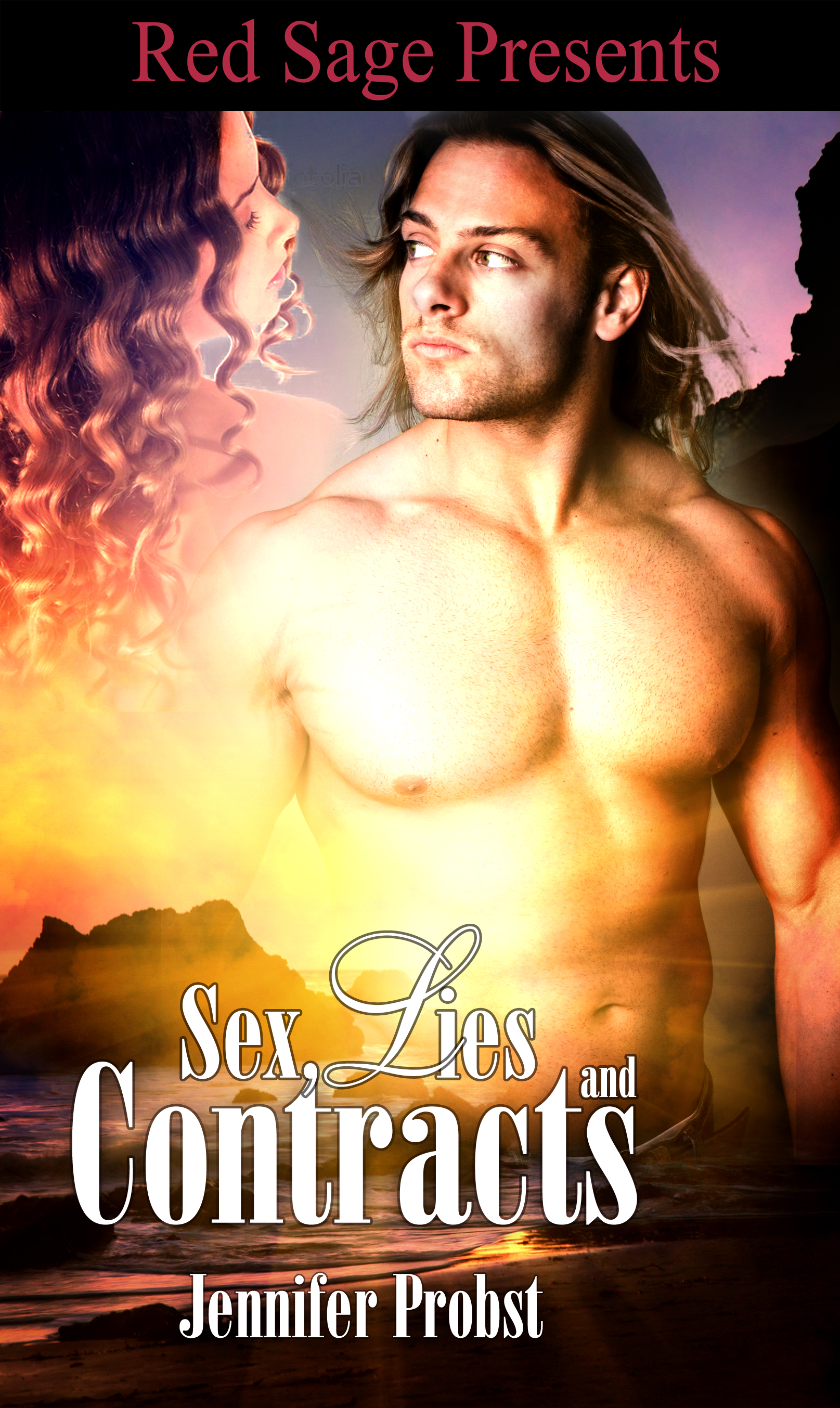 Title details for Sex, Lies and Contracts by Jennifer Probst - Available